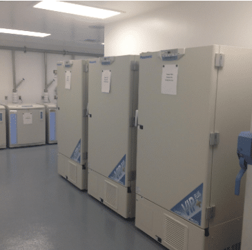 Dupl 4118701753832838